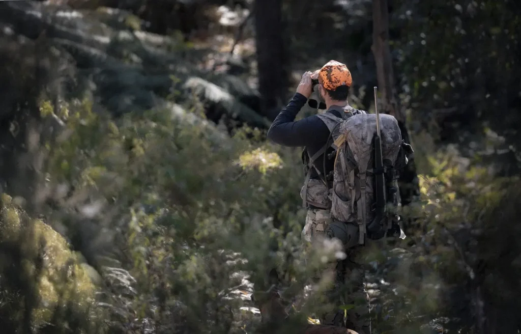 Luke and Buck Glassing in NSW State Forest