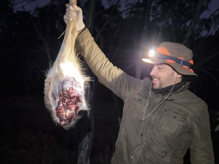 forest-to-fork-nsw-hunting-guide-state-forest-hunt-happy-guests-10
