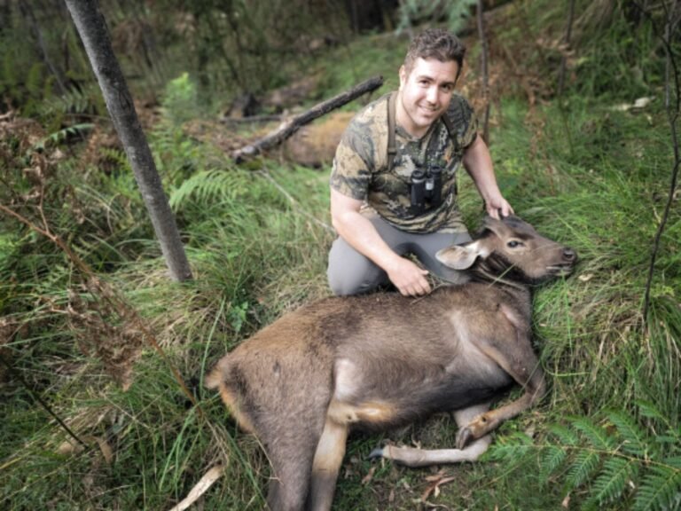 forest-to-fork-nsw-hunting-guide-state-forest-hunt-happy-guests-15