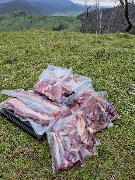Vacuum-sealed packs of fresh sambar venison cuts laid on the grass in the high country, ready for wet ageing